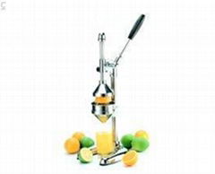 Restaurant Juicer