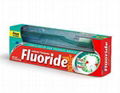 Fluoride Toothpast w/toothbrush 6.4oz