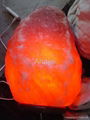 Natural Salt Lamp 1