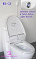 toilet seat