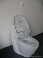 hygienic toilet seat/bidet cover