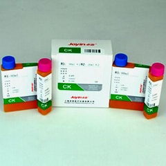 肌酸激酶CK试剂盒