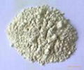 rice protein concentrate