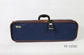 violin case 4