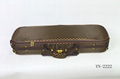 violin case 4