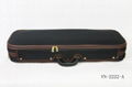 violin case 5