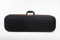 violin case 1