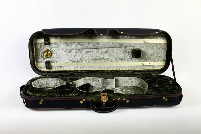 violin case 2