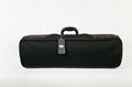 violin case 3