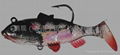 soft lure, lead fish, sinker, spoon and spinner 2