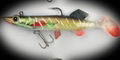 Fishing Line  Soft Lure  Jig Hook  Lead