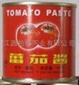 tomato paste