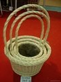 willow basket 2