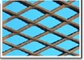 普通碳钢板网、不锈钢板网、铁板网、铜板网、铝板网、钛板网、镍