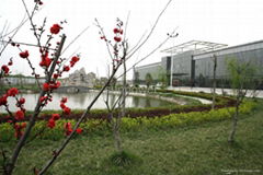 Jiangsu Sunpower Solar Technology Co.,ltd