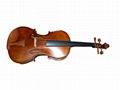 Manual Classical Artistic Viola