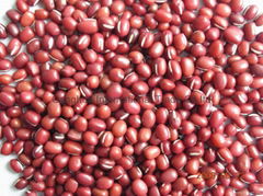 small red bean