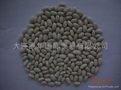 white kidney beans