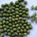 black soybeans 5