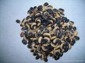 black soybeans 4