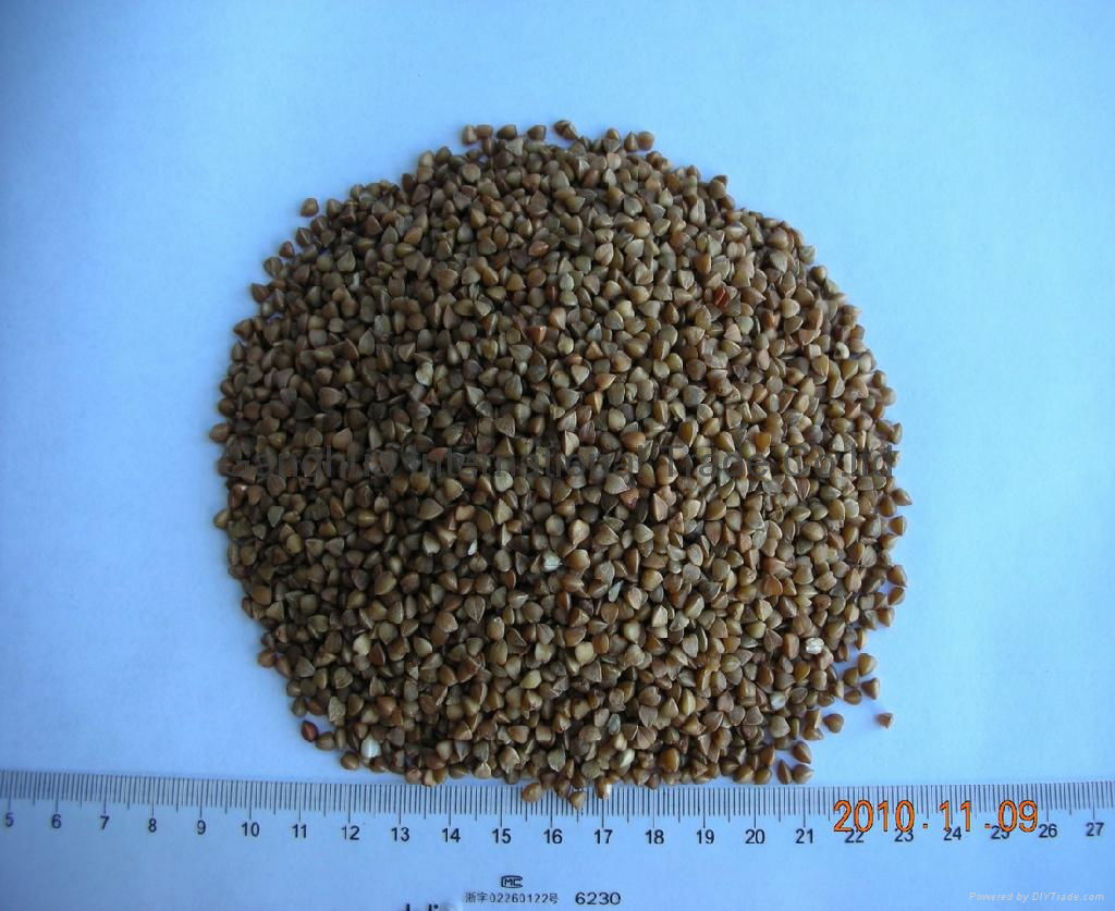 roasted buckwheat kernel