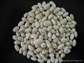 White Kidney Beans Japanese Shape 3