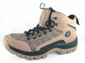 Mountaineering bags, shoes, alpenstocks,walking pole 4