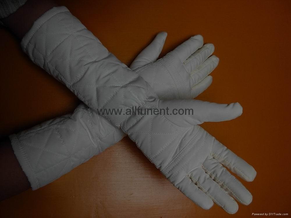 Ski Gloves 2