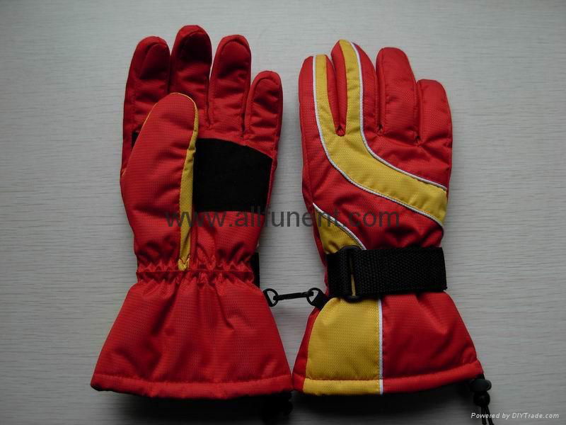 Ski Gloves 3
