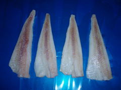 Alaska Pollock fillet