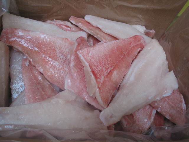 redfish fillet