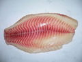 frozen tilapia fish 1