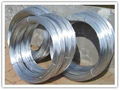 electro galvanized wire