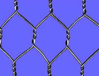 hexagonal wire netting