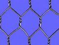 hexagonal wire netting