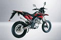 Motorcycle/Enduro/Offroad Motorcycle BS125GY-9  3