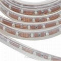 led strips  2