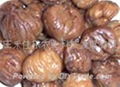 chestnut 2