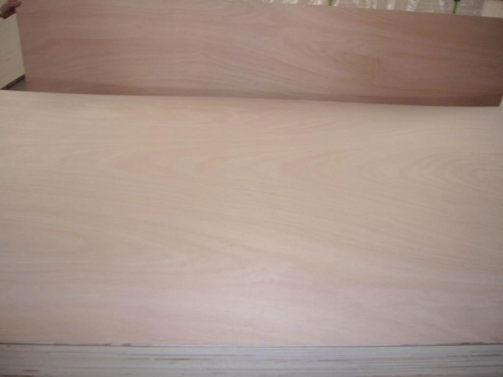 Commercial Plywood