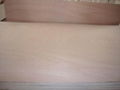 Commercial Plywood