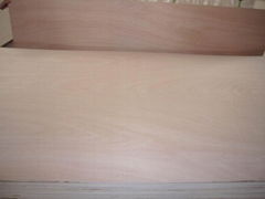 Commercial Plywood