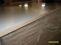 polyester plywood