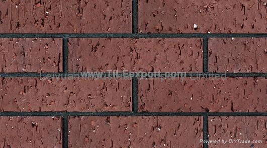 clay brick wall tile 2