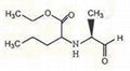 PERINDOPRIL INTERMEDIATE 1