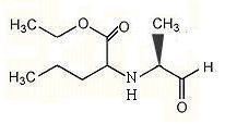 PERINDOPRIL INTERMEDIATE