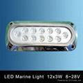 Marine LED Decorative Underwater Light 36W Super Bright