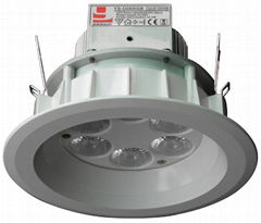 LED Down Light