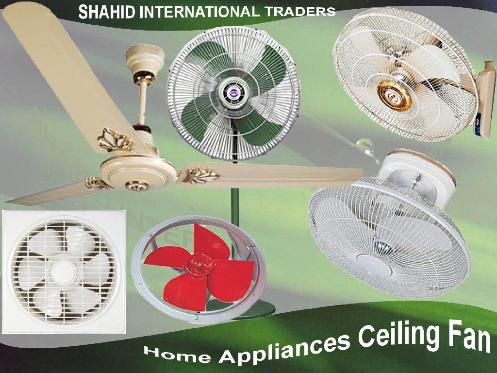 Home Appliances Ceiling Fans 