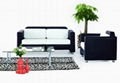 Office sofas  1