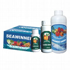 Seaweed Amino